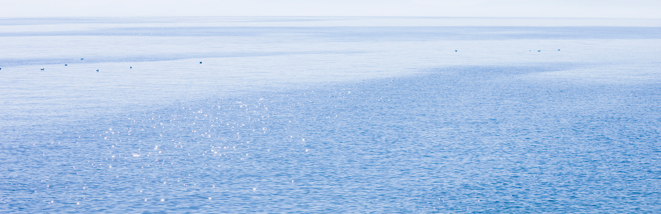 Offshore Wind Power Project in Japan